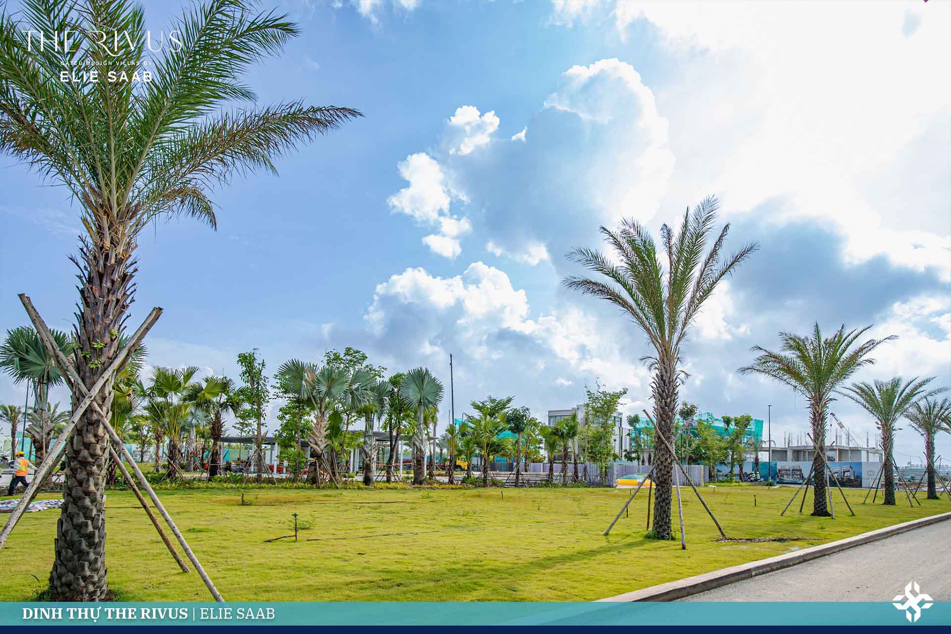 the rivus tien do thang 5/20234